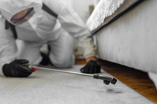 Professional Bed Bug Control technician working in South Henderson, NC