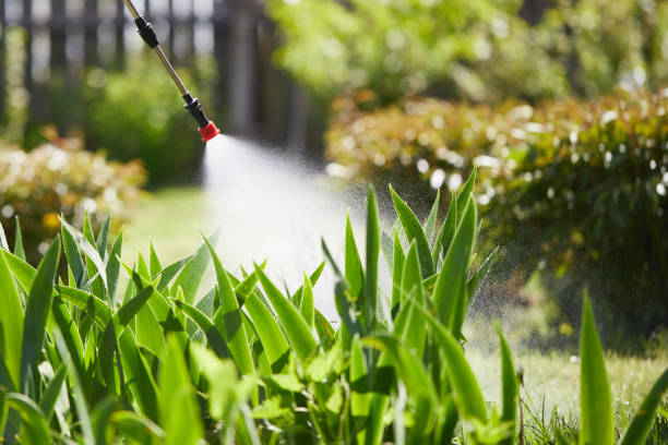 24/7 Emergency Bed Bug Control experts in South Henderson, NC