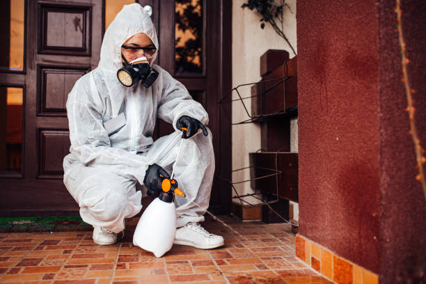 Reliable Bed Bug Control contractor in South Henderson, NC by Nex Pest Control